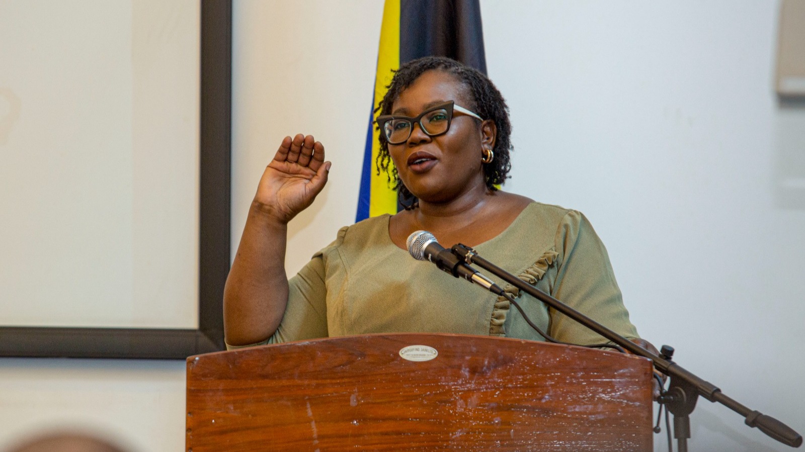 CMA MWALIMU USAJILI MIGOGORO YA KIKAZI KIDIGITALI AFRIKA MASHARIKI -MKURUGENZI MKAAZI ILO